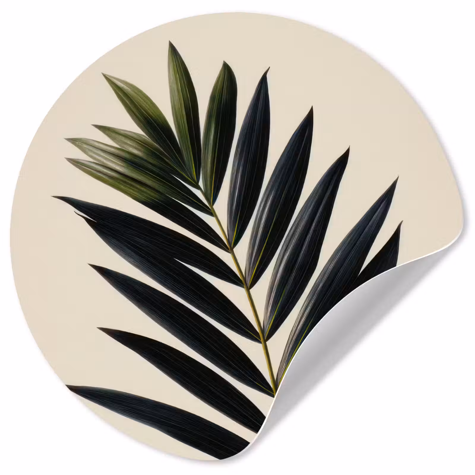 Behangcirkel - Palmblad - Donkere bladen - Subtiel — 1