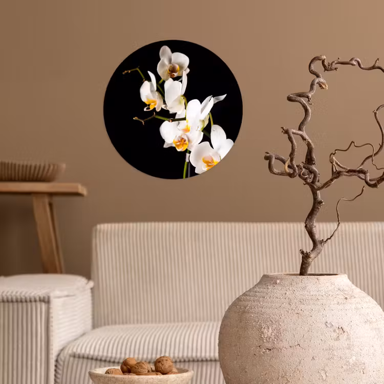 Behangcirkel - Orchidee - Bloemen - Planten - Botanisch — 2