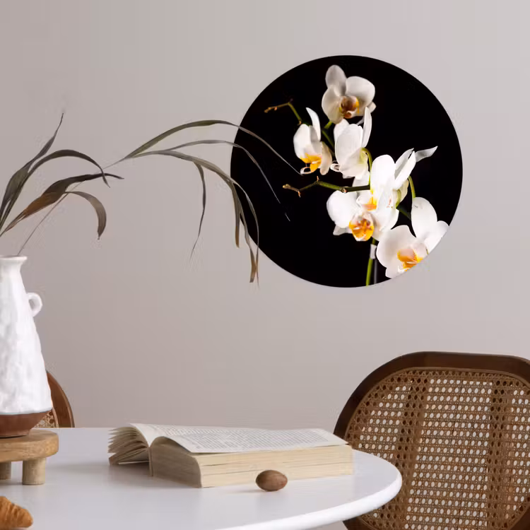Behangcirkel - Orchidee - Bloemen - Planten - Botanisch — 4