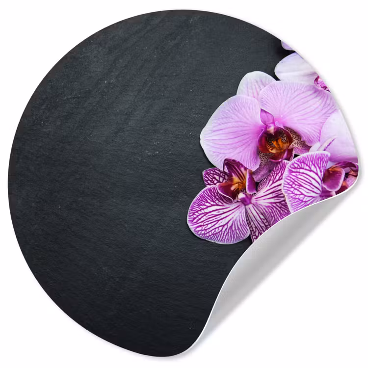 Behangcirkel - Orchidee - Bloemen - Roze - Flora — 1