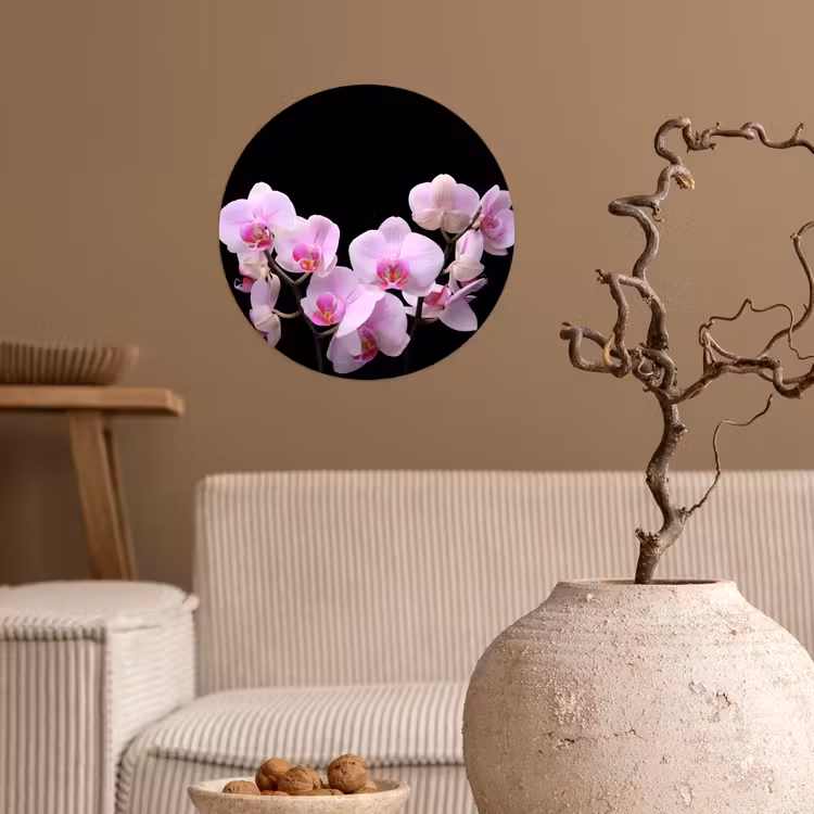 Behangcirkel - Orchidee - Bloemen - Roze - Flora — 2