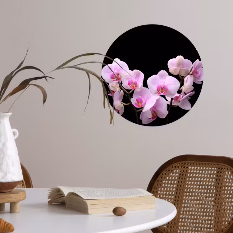 Behangcirkel - Orchidee - Bloemen - Roze - Flora — 4
