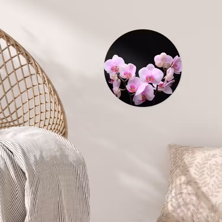 Behangcirkel - Orchidee - Bloemen - Roze - Flora — 5
