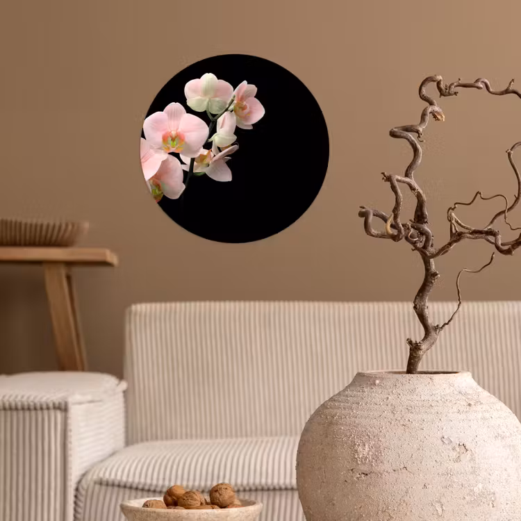Behangcirkel - Orchidee - Bloemen - Roze - Stilleven - Flora — 2