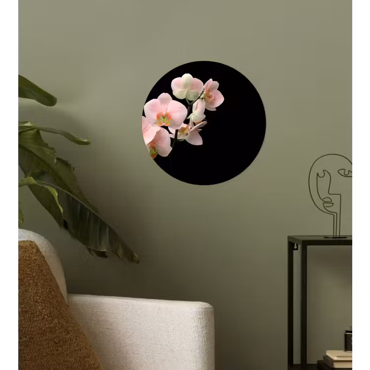 Behangcirkel - Orchidee - Bloemen - Roze - Stilleven - Flora — 3