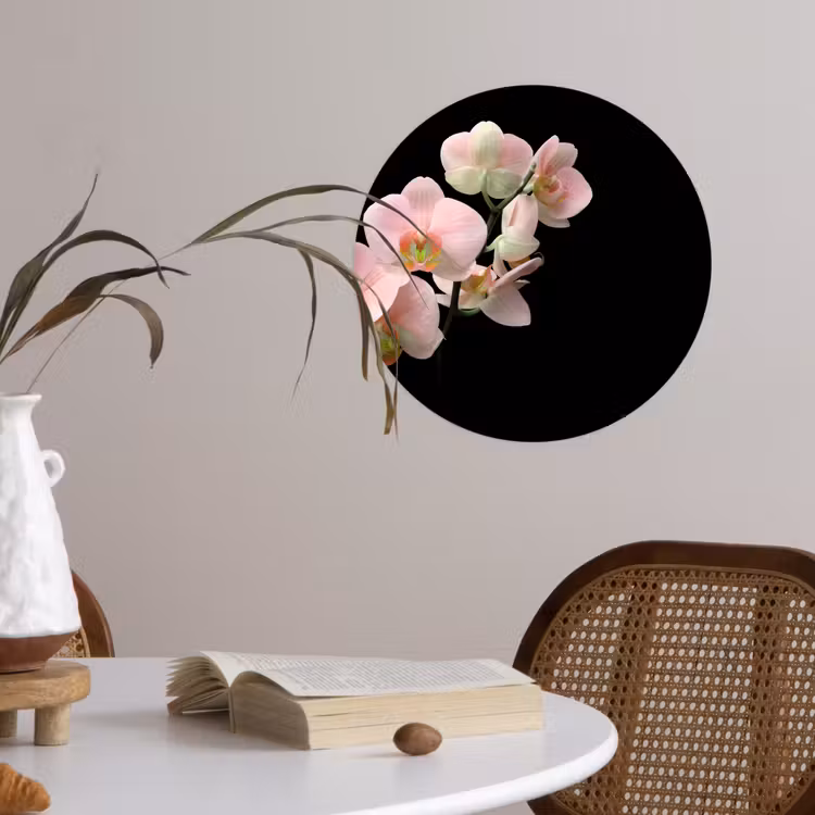 Behangcirkel - Orchidee - Bloemen - Roze - Stilleven - Flora — 4
