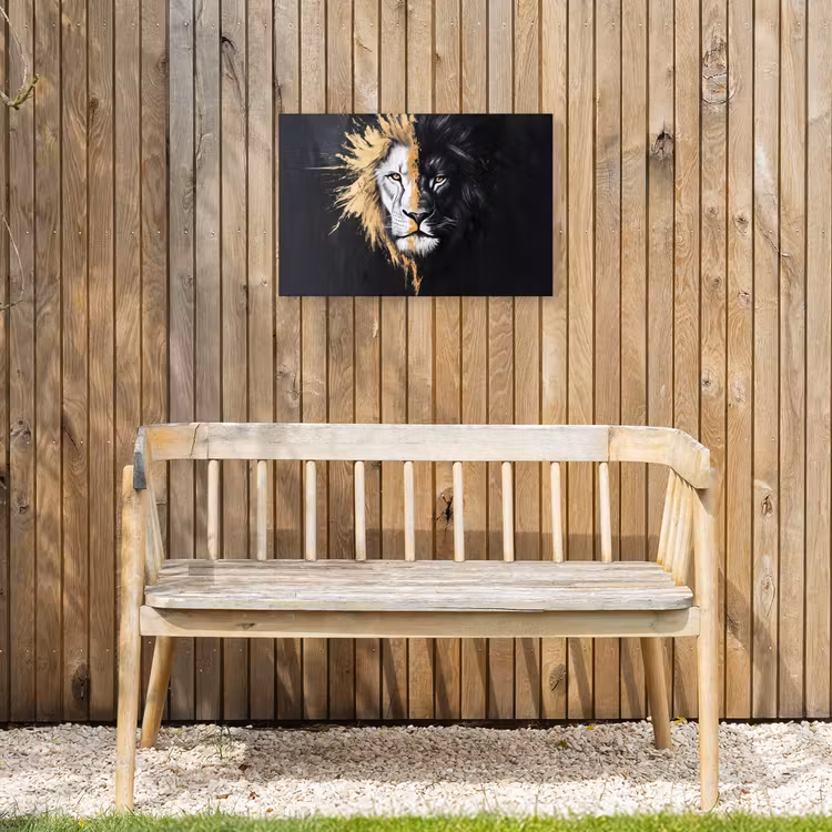 Buiten canvas - Leeuw - Gesplitst - Zwart - Lijn — 3