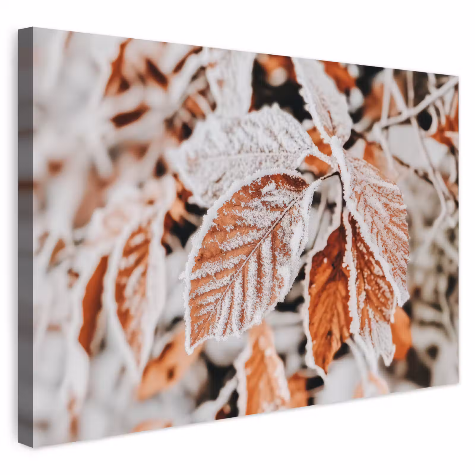 Buiten canvas - Bladeren - IJs - Winter - Natuur — 1