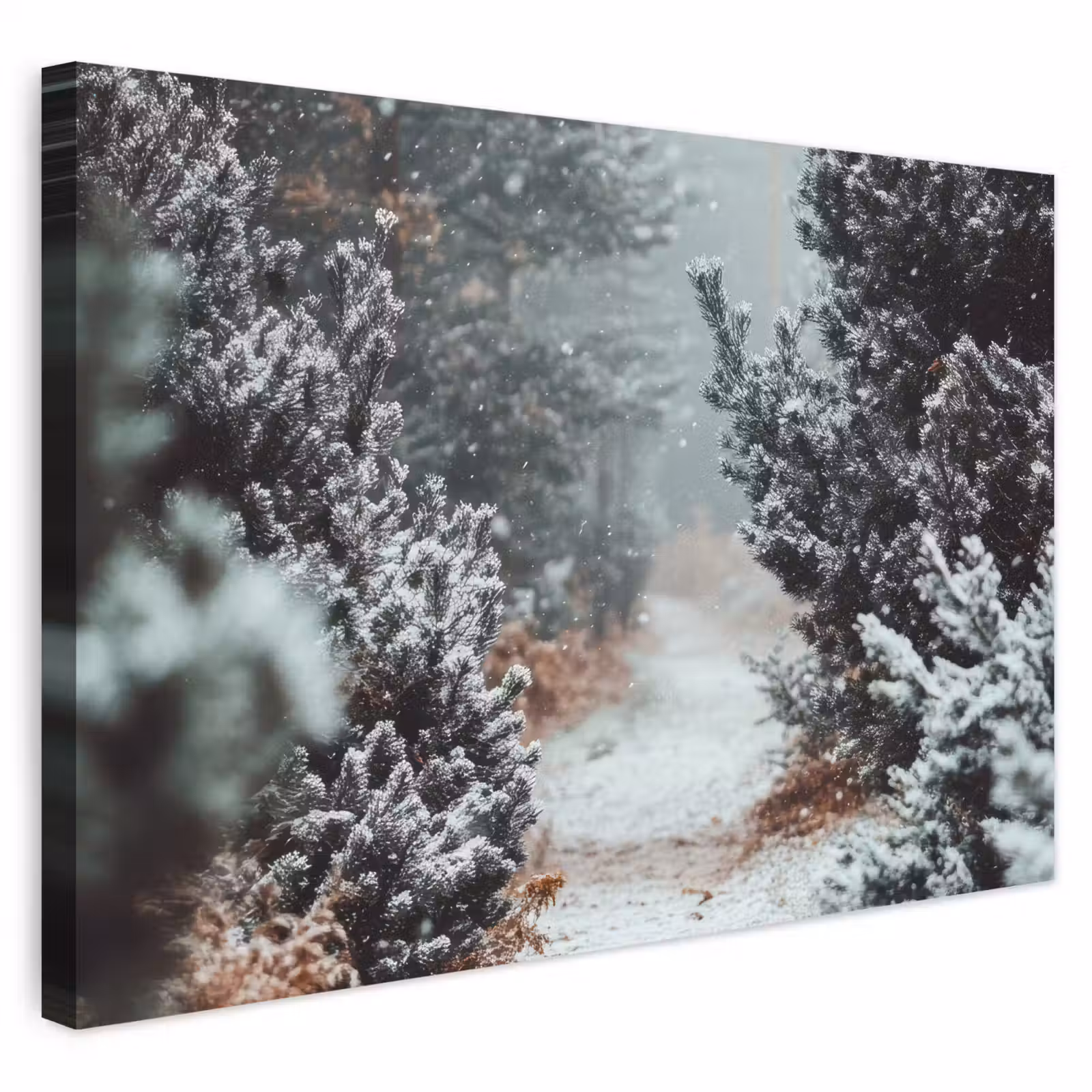 Buiten canvas - Bos - Winter - Bomen - Natuur - Pad - Sneeuw — 1