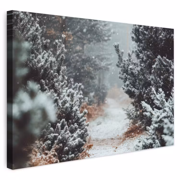 Buiten canvas - Bos - Winter - Bomen - Natuur - Pad - Sneeuw — 1