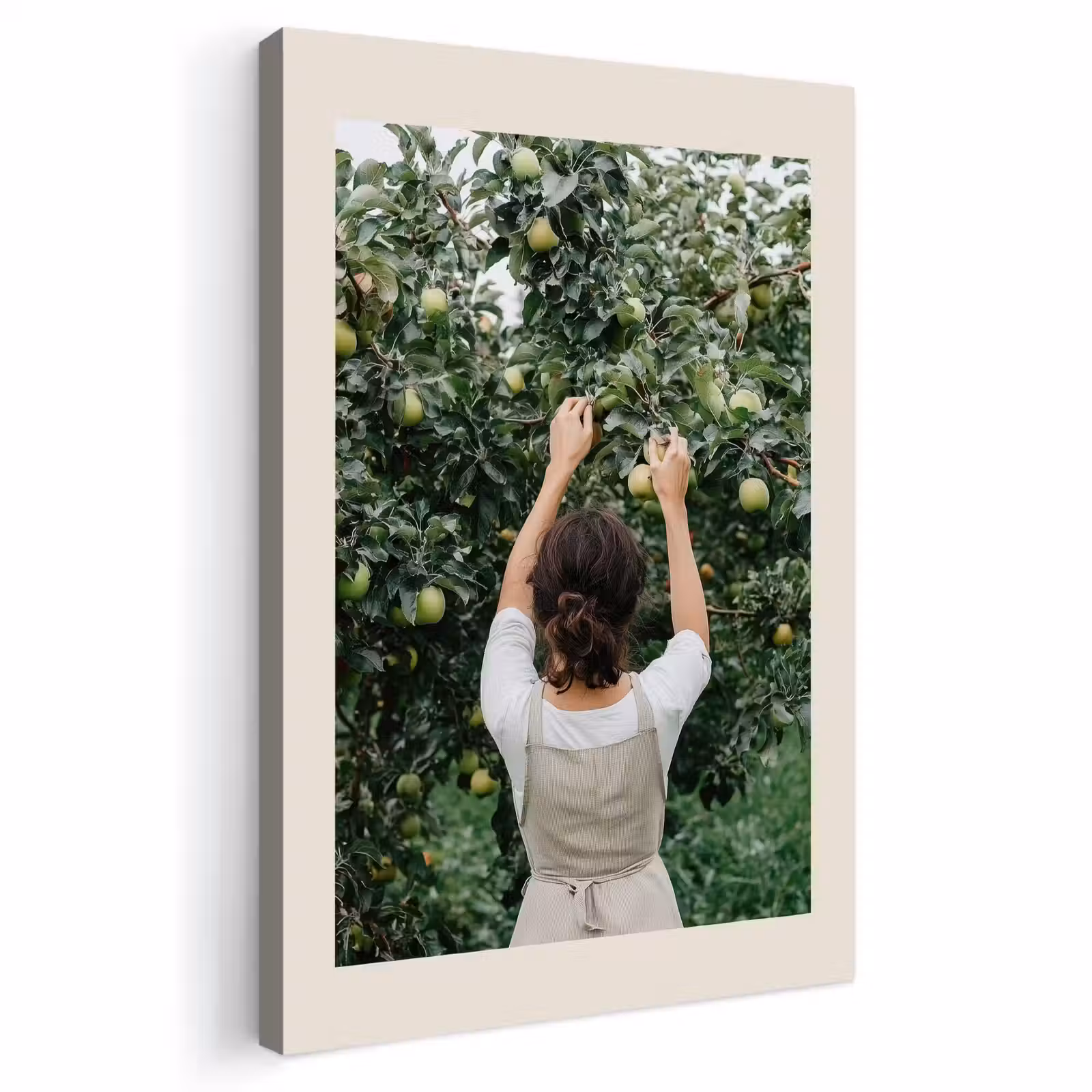 Buiten canvas - Boom - Appels - Plukken - Natuur — 1