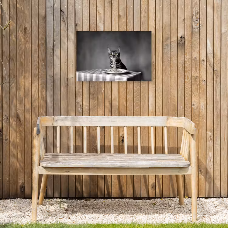 Buiten canvas - Bengaal - Kat - Tafelkleed - Zwart - Wit - Dier — 3