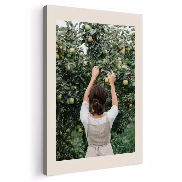 Buiten canvas - Boom - Appels - Plukken - Natuur — 1
