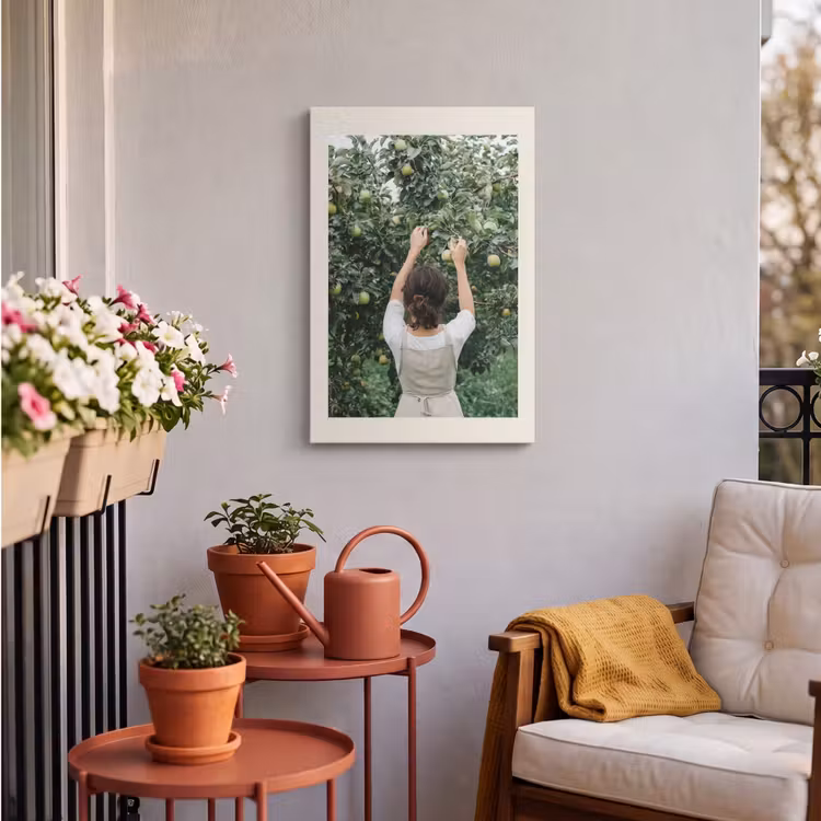 Buiten canvas - Boom - Appels - Plukken - Natuur — 4