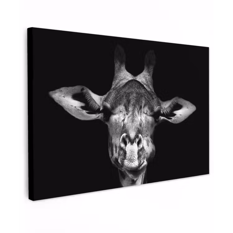 Buiten canvas - Giraffe portret in zwart-wit — 1