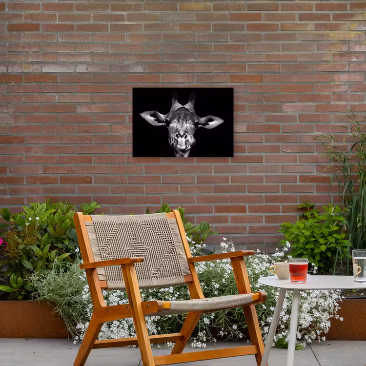 Buiten canvas - Giraffe portret in zwart-wit — 2