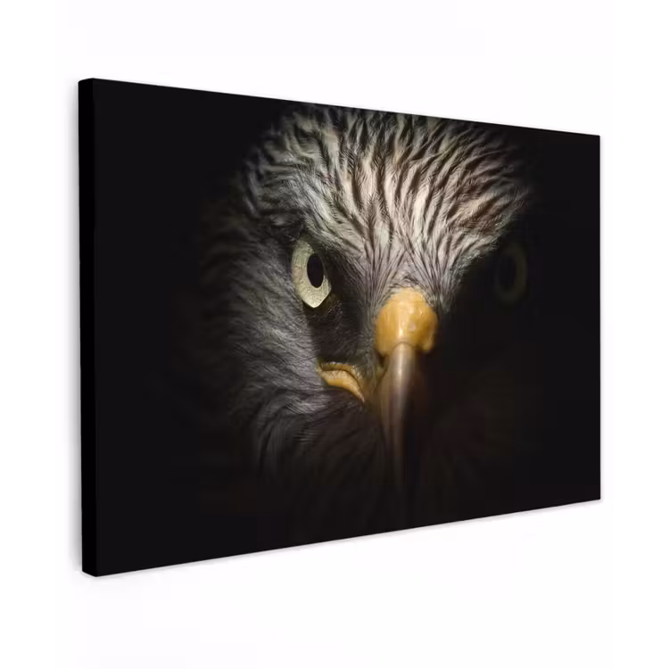Buiten canvas - Indringende blik van een arend — 1