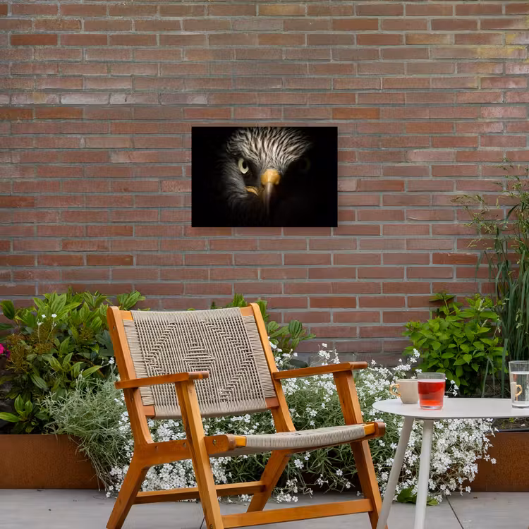 Buiten canvas - Indringende blik van een arend — 2