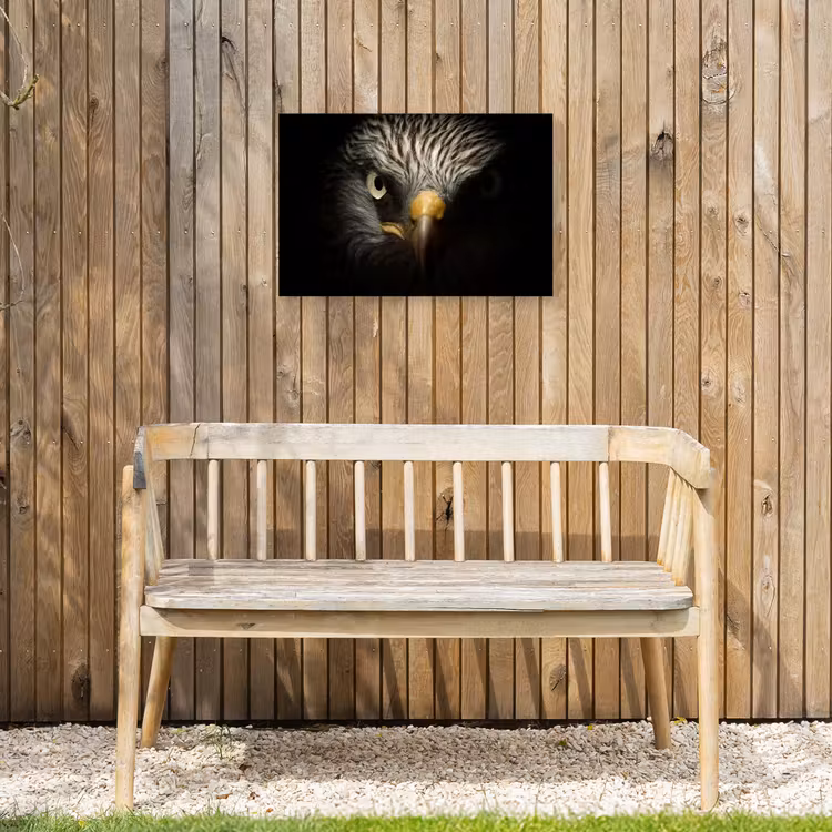 Buiten canvas - Indringende blik van een arend — 3