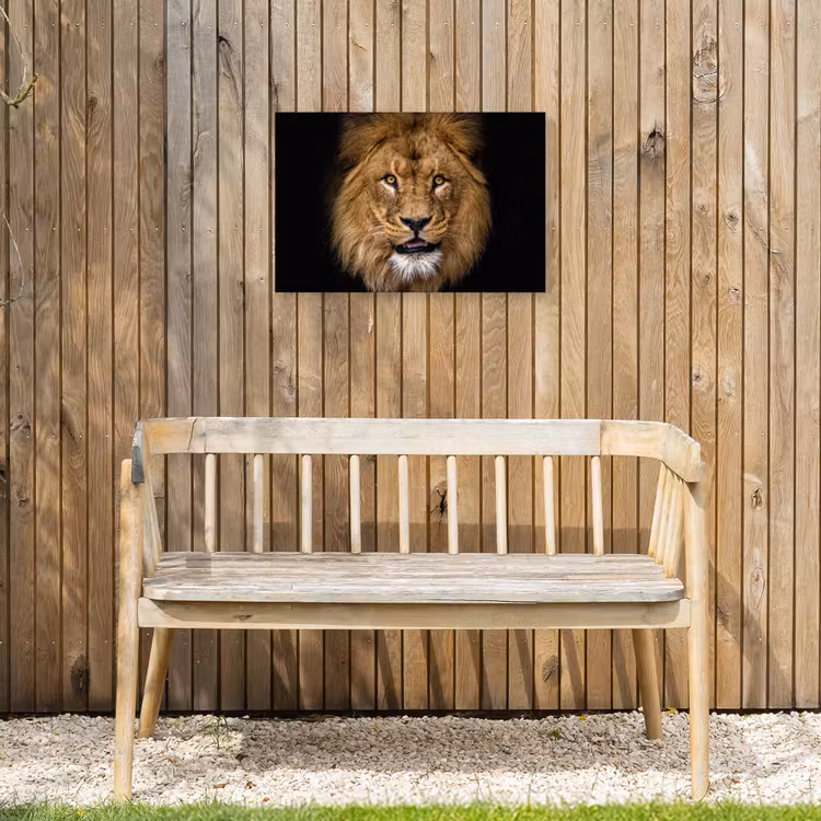 Buiten canvas - Indrukwekkend portret van een leeuw — 3