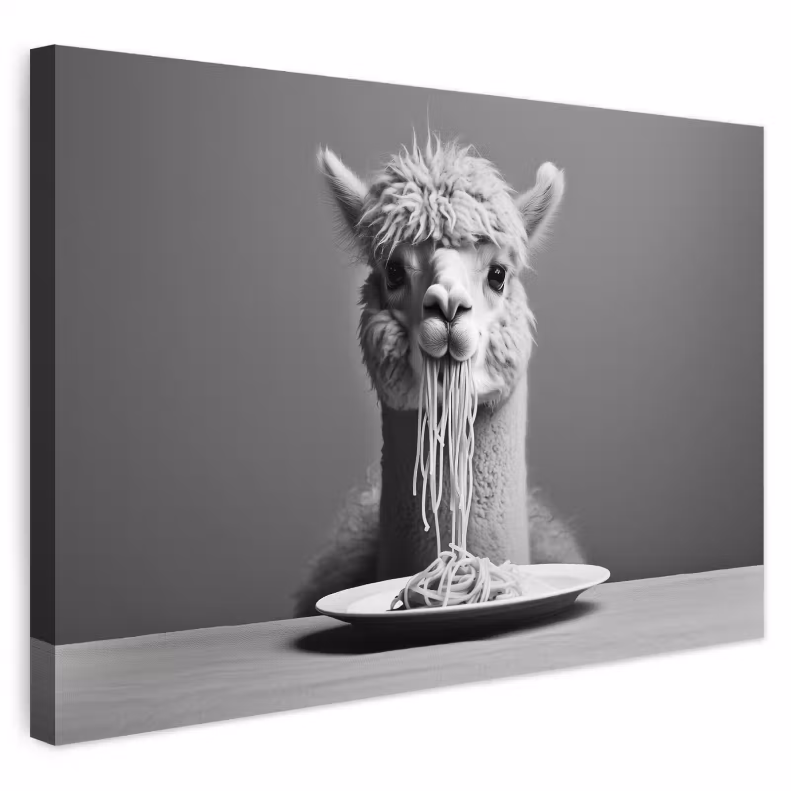 Buiten canvas - Alpaca - Pasta - Zwart - Wit - Grappig - Dieren — 1