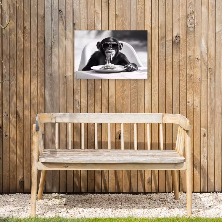 Buiten canvas - Aap - Spaghetti - Zonnebril - Zwart wit - Cool - Dier — 3