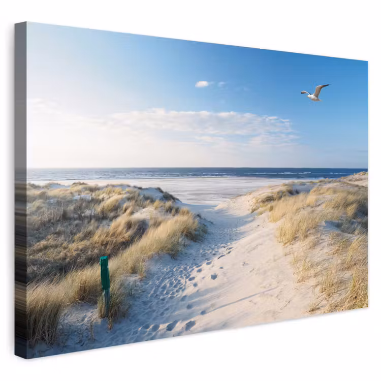 Buiten canvas - Duin - Meeuw - Strand - Zee - Zon — 1