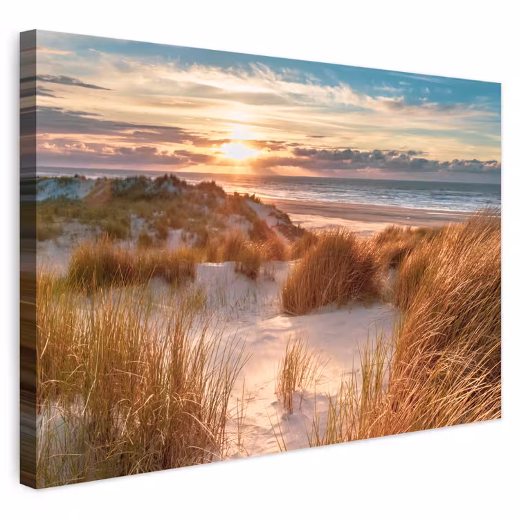 Buiten canvas - Duin - Planten - Zonsondergang - Strand - Zee — 1