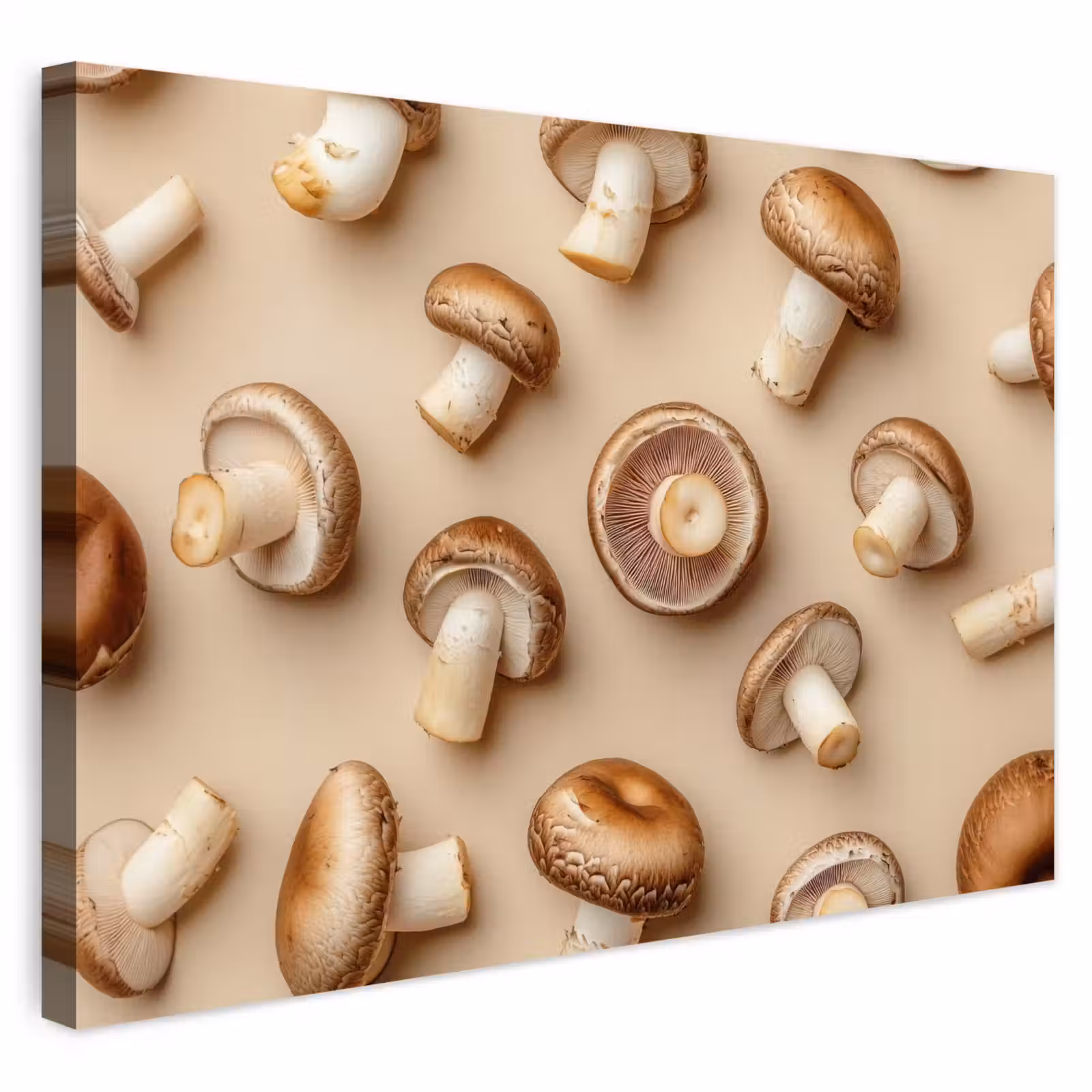 Buiten canvas - Kastanje Champignons - Beige — 1