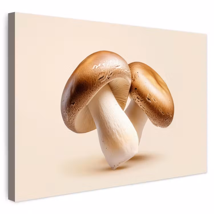 Buiten canvas - Champignons - Zacht - Beige — 1
