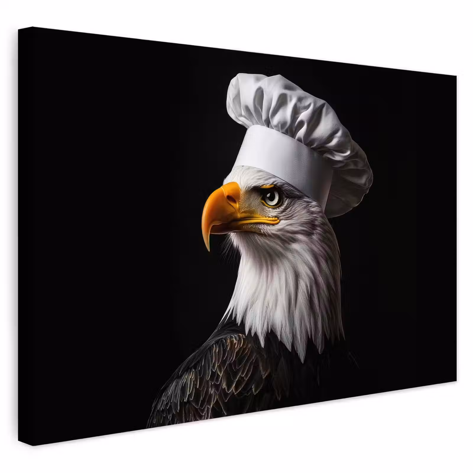 Buiten canvas - Arend -Amerika - Koksmuts - Vogel - Stoer — 1