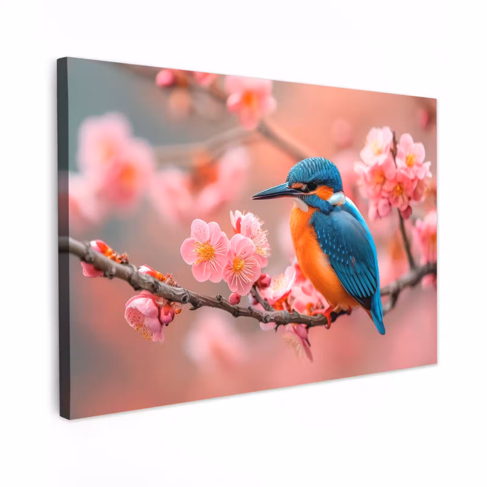 Buiten canvas - IJsvogel tussen Kersenbloesems — 1
