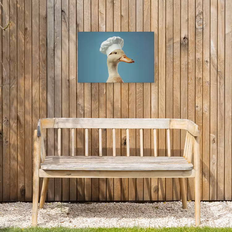 Buiten canvas - Eend - Koksmuts - Cute - Vogel — 3