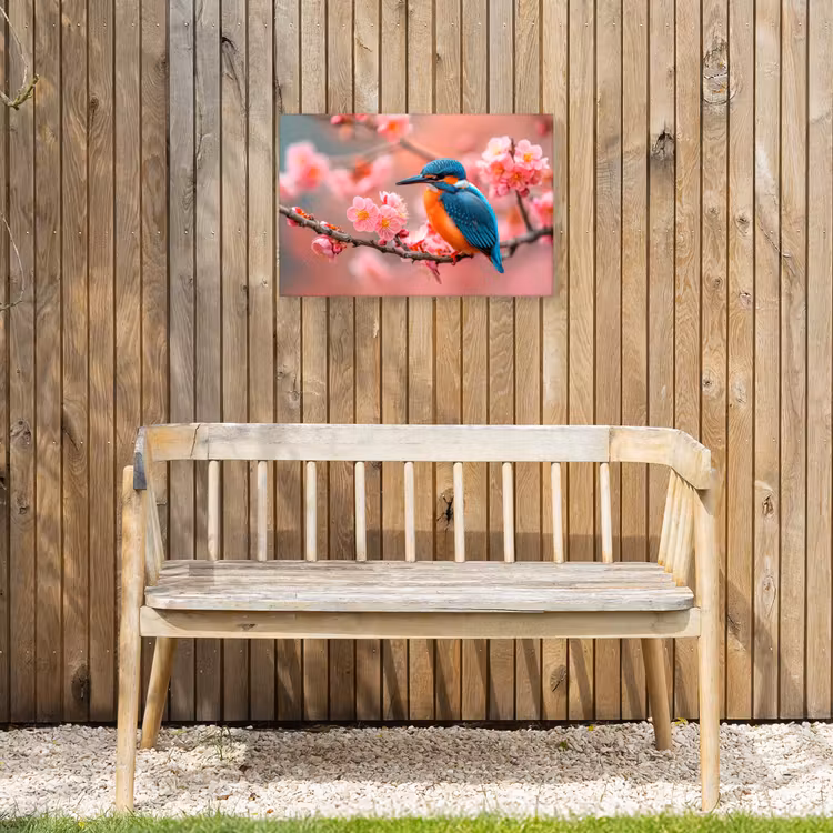 Buiten canvas - IJsvogel tussen Kersenbloesems — 3