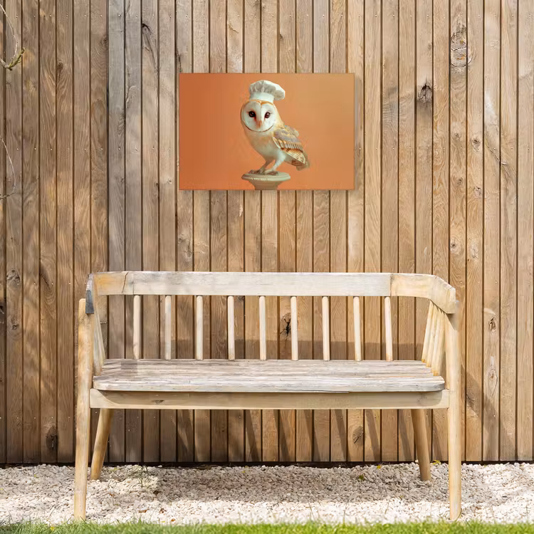 Buiten canvas - Kerkuil - Koksmuts - Oranje - Vogel — 3