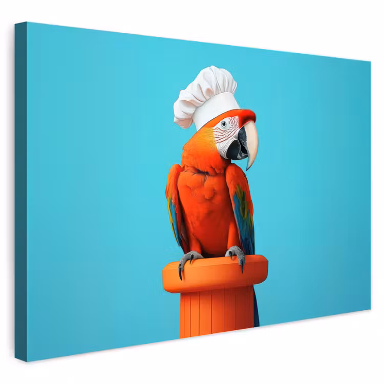 Buiten canvas - Ara - Koksmuts - Sokkel - Grappig — 1