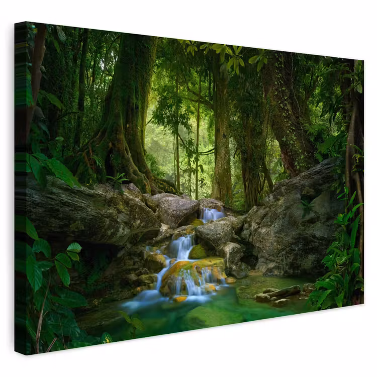 Buiten canvas - Jungle - Stenen - Water - Natuur - Planten — 1