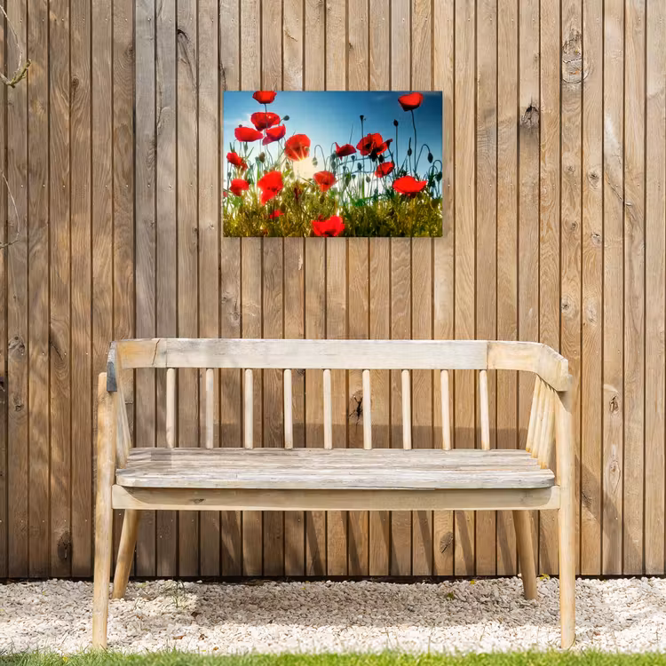 Buiten canvas - Klaprozen in ochtendlicht — 3