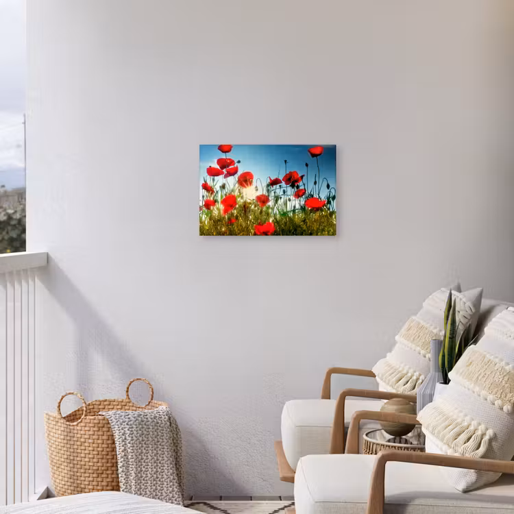 Buiten canvas - Klaprozen in ochtendlicht — 4