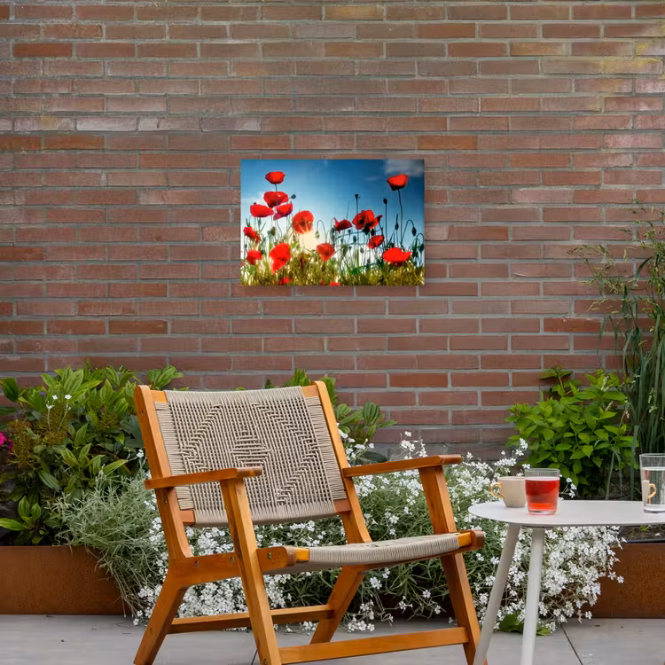 Buiten canvas - Klaprozen in tegenlicht — 2