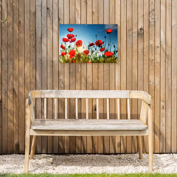 Buiten canvas - Klaprozen in tegenlicht — 3