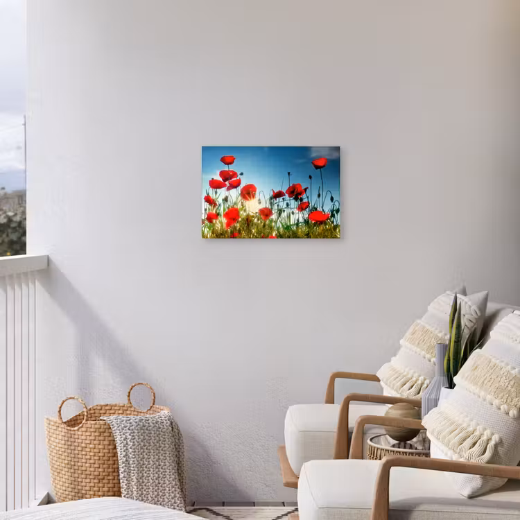 Buiten canvas - Klaprozen in tegenlicht — 4
