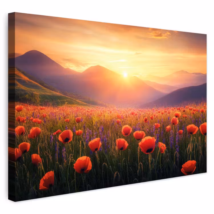 Buiten canvas - Landschap - Zonsondergang - Bloemenveld — 1