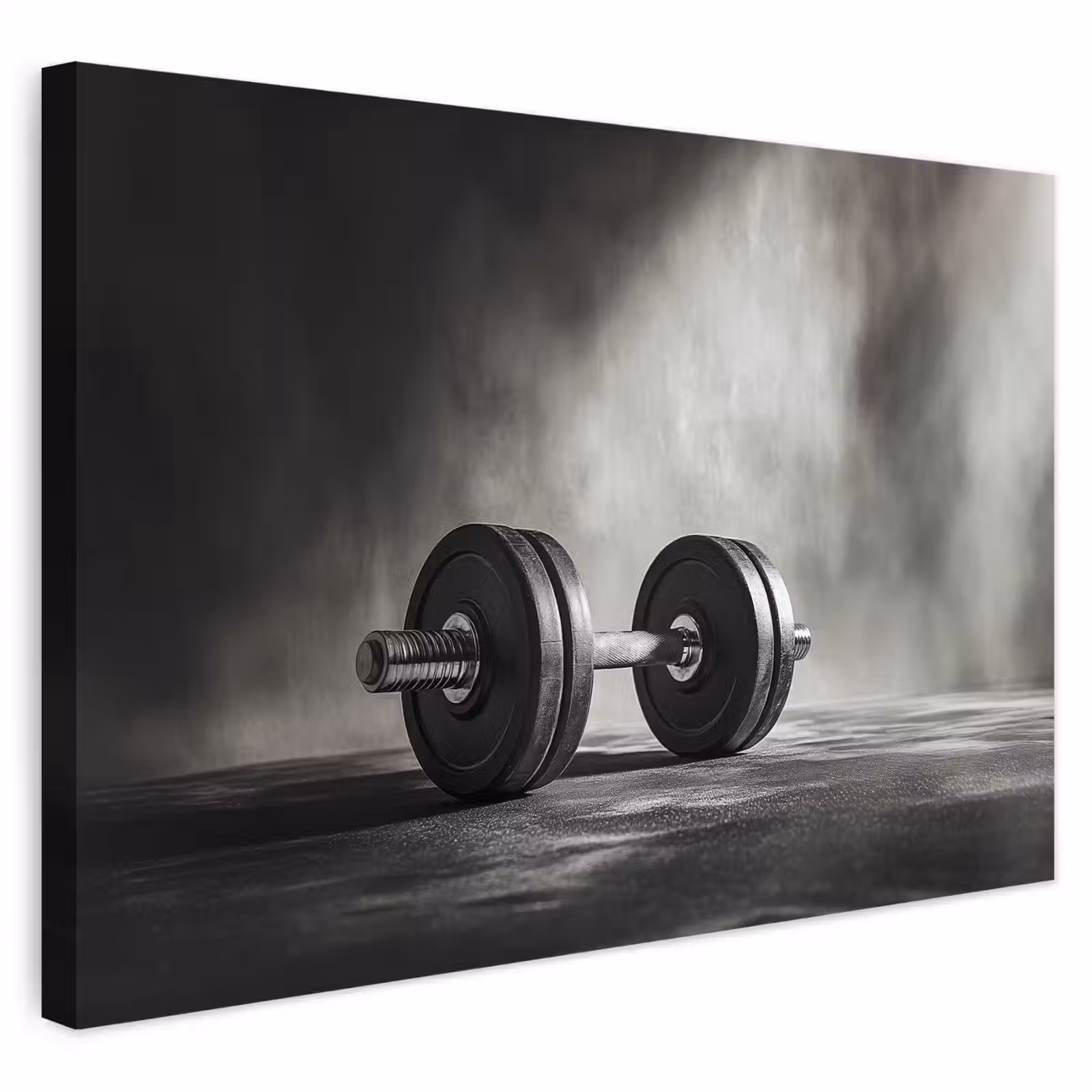 Buiten canvas - Halter - Gewichten - Zwart — 1