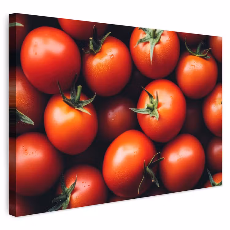 Buiten canvas - Groente - Rood - Tomaten — 1