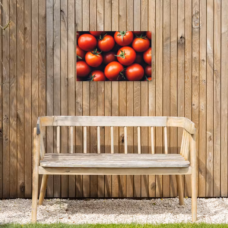Buiten canvas - Groente - Rood - Tomaten — 3