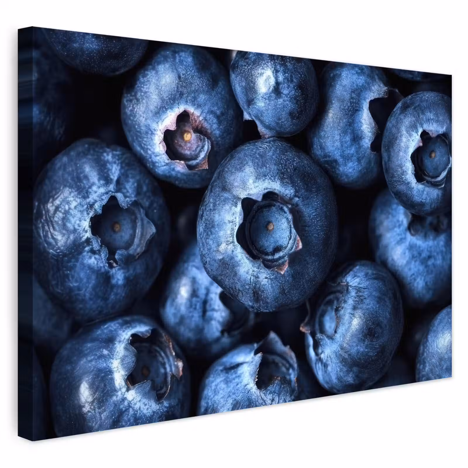 Buiten canvas - Bessen - Blauw - Fruit — 1