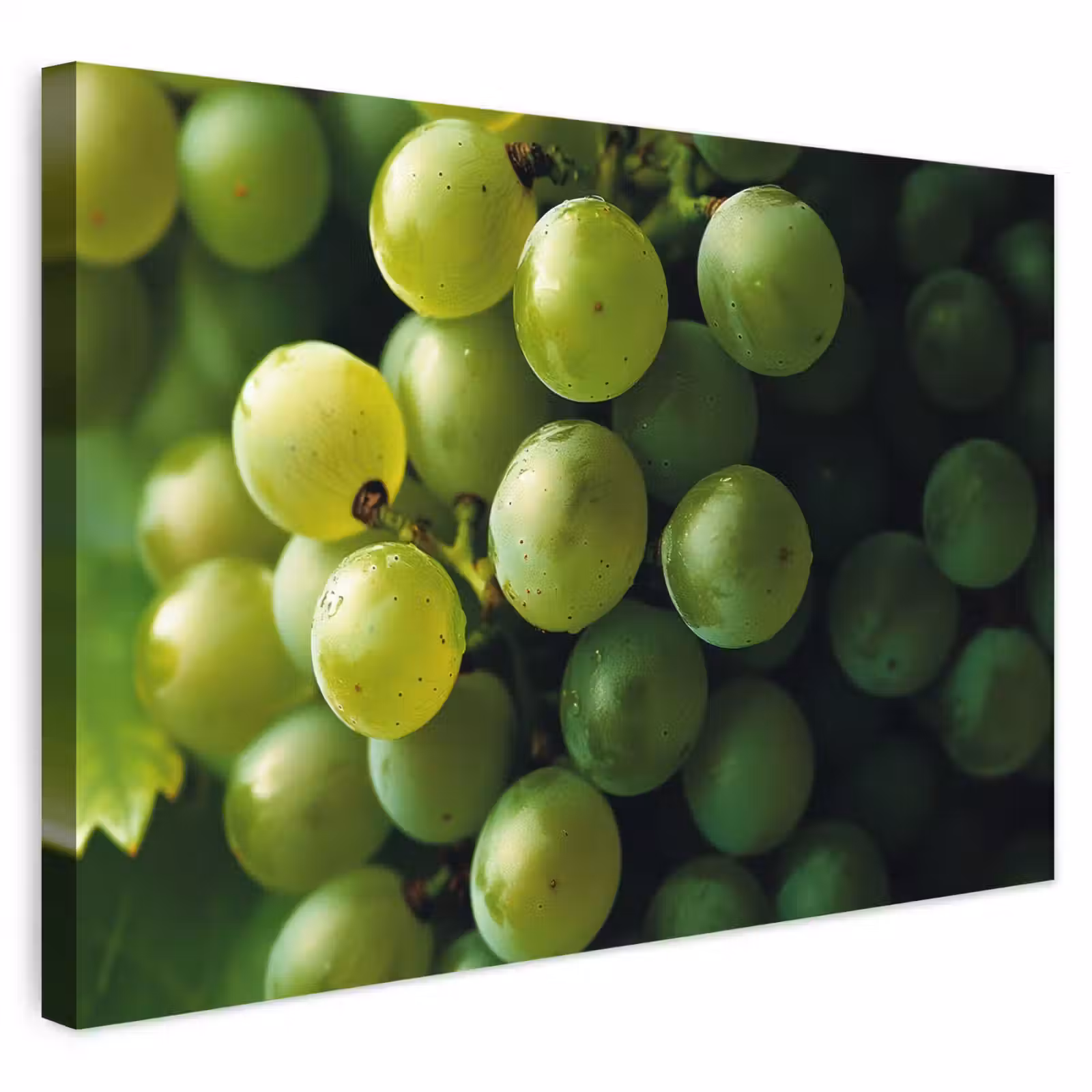Buiten canvas - Druiven - Tros - Groen — 1