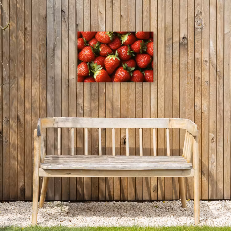 Buiten canvas - Aardbei - Fruit - Rood — 3
