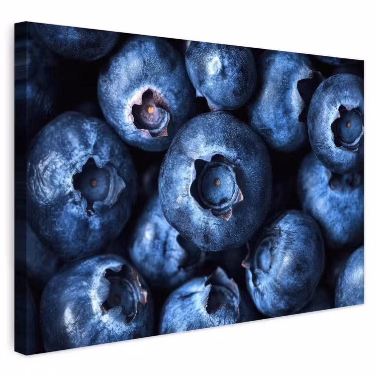 Buiten canvas - Bessen - Blauw - Fruit — 1